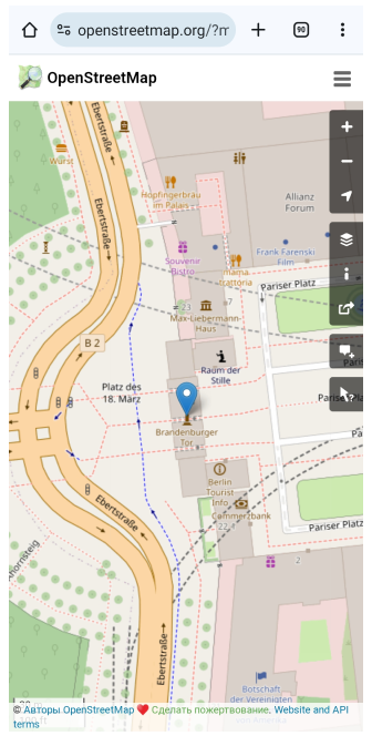 Osm Location pin 2